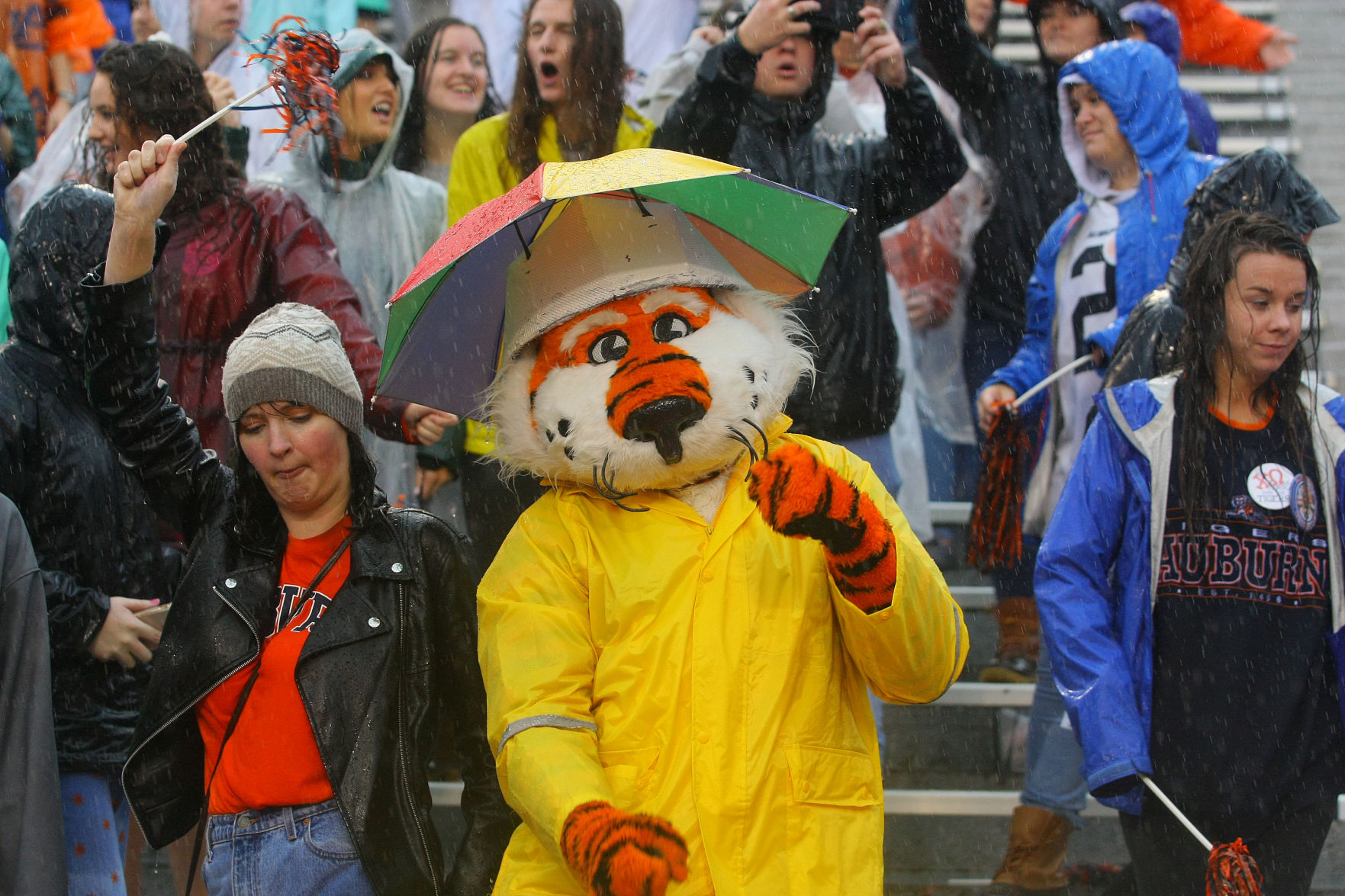 Auburn vs Samford